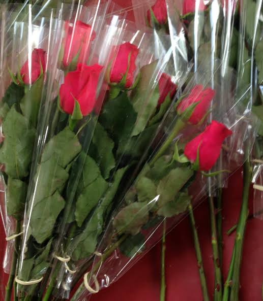 RED ROSES RED ROSES
