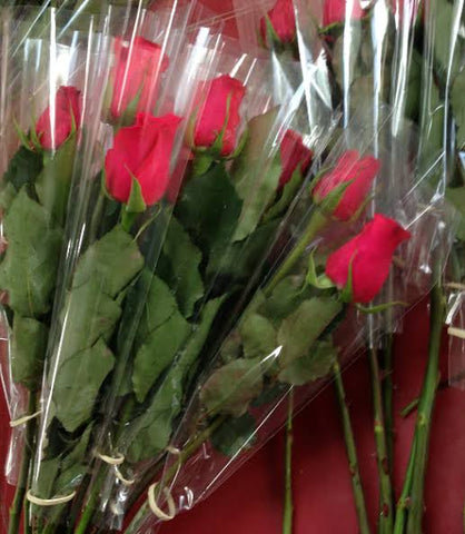 RED ROSES RED ROSES