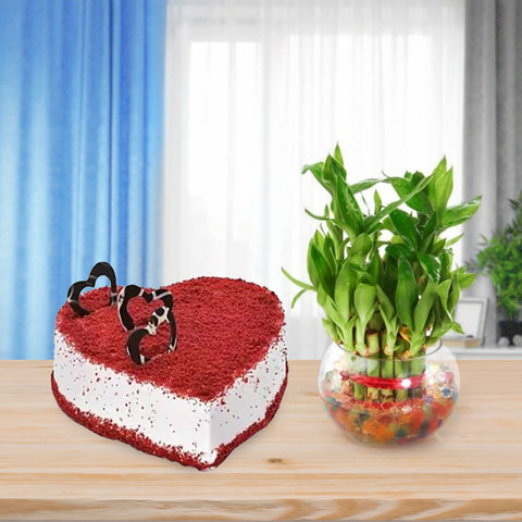 Bamboo-n-cake Bamboo-n-cake