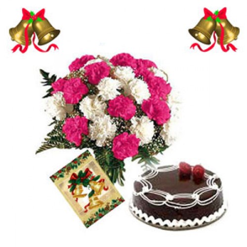 CARNATIONS-BUNCH-N-CAKE CARNATIONS-BUNCH-N-CAKE