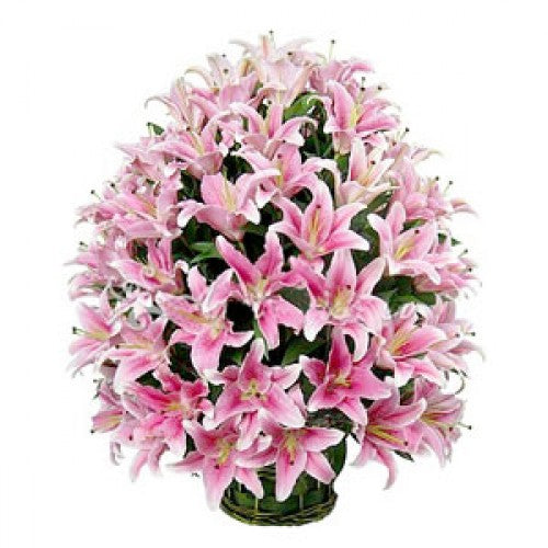 lily flower basket LILY FLOWERS IN A BASKET