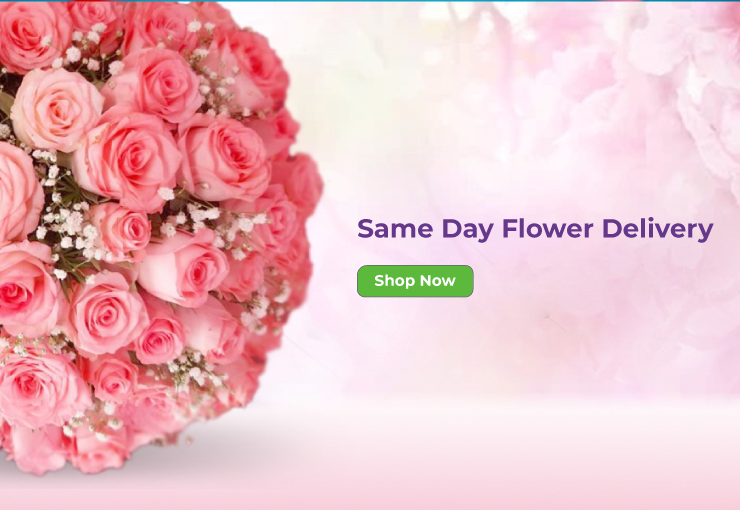 Same Day Gifts Delivery, Order Same Day Gifts in India - Giftalove