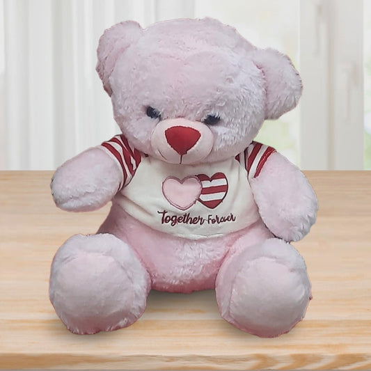 Pink Teddy Bear 30 Cms