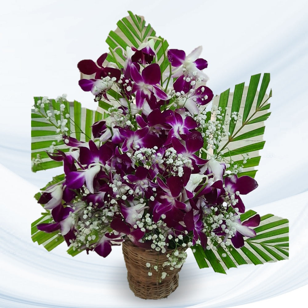 10-purple-orchids-in-basket