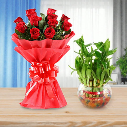 12-red-Rose_s-n-lucky-bamboo