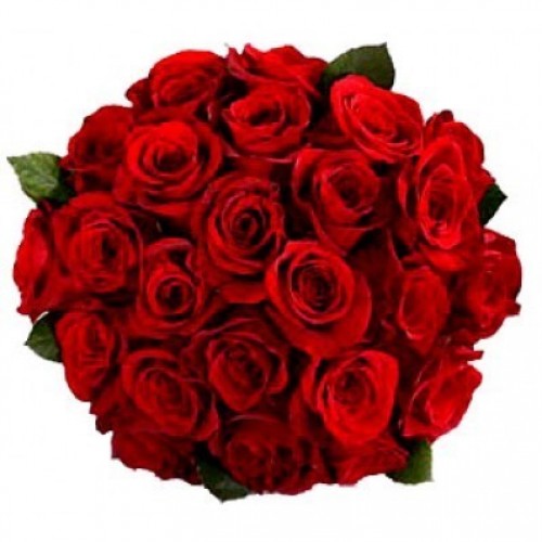 Red Roses Batch 20 Red Roses Bunch Online Delivery | Florist Chennai