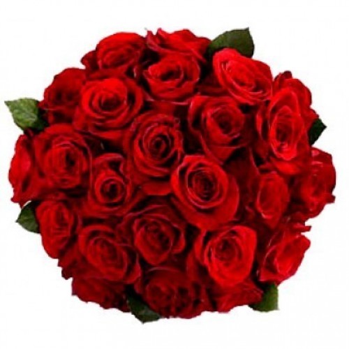    20-red-roses-bunch