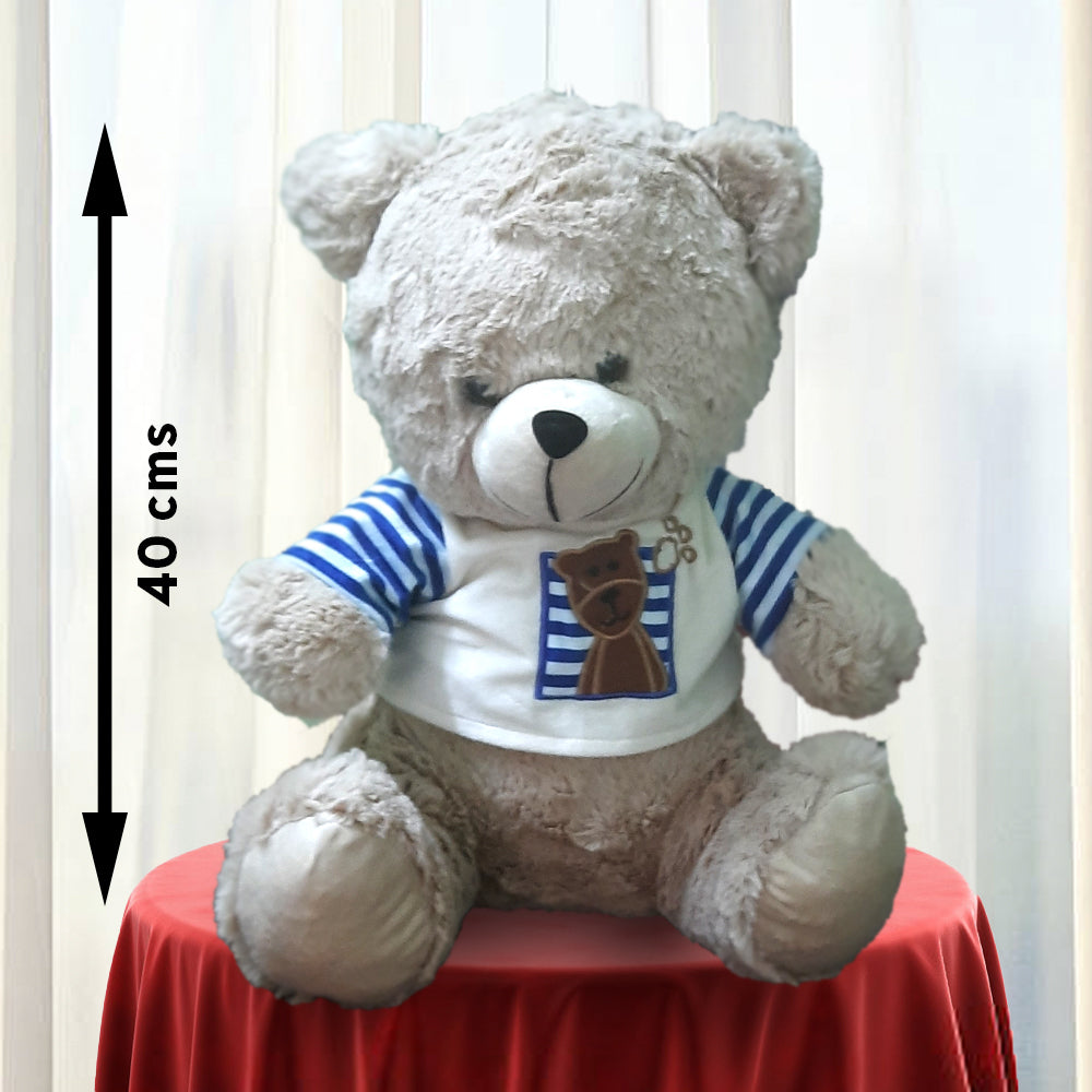 Cute-Grey-Teddy-40-cms