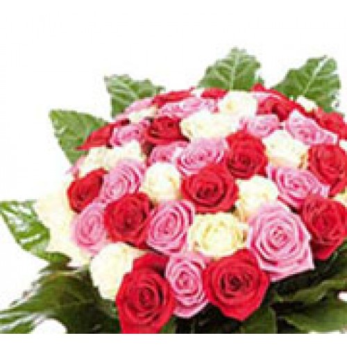 Mix Tinted Roses Trio Symphony: A Bouquet of Mixed Colour Roses (Pink, White, Red)