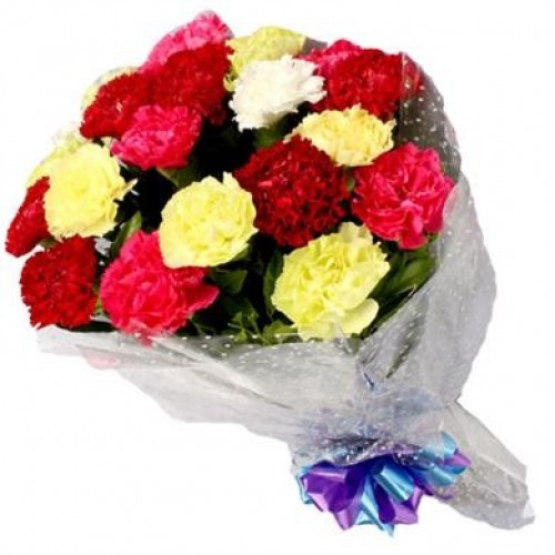 bunch-of-mixed-carnations