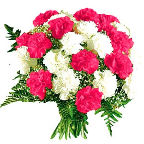 carnation_bouquet