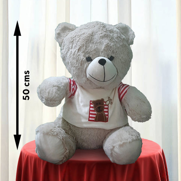 Soft Scarlet: Red Teddy Bear - 30cm