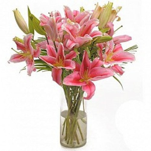 pink-lillies-vase
