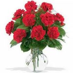 red-coronation-vase