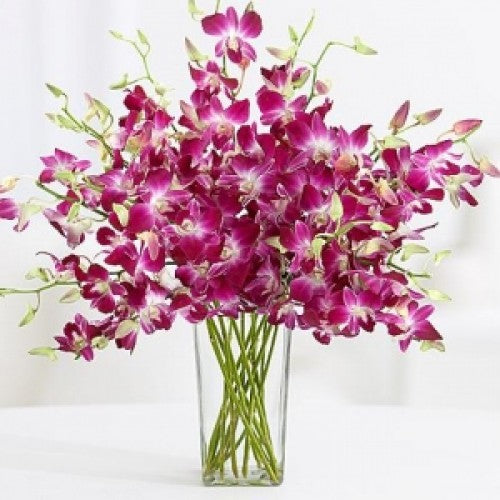 simple-orchids-in-vase